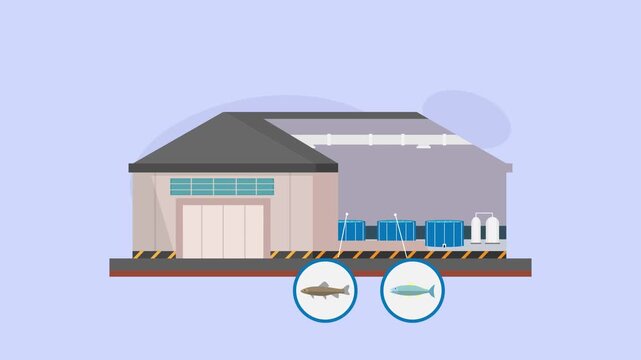 Indoor Aquaculture Fish Farm with Circular Tanks and Different Fish Species cartoon animation