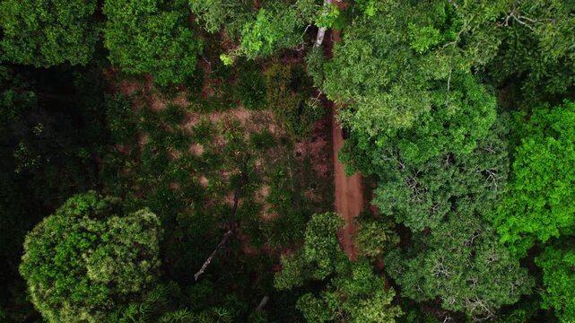 Aerial Drone Shot Moving Jeep Through Kerala Forest Road 4K