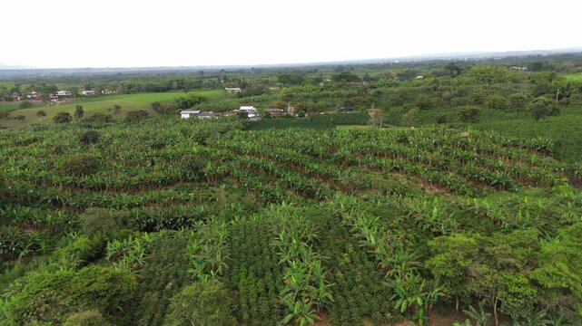 Aerial view of coffee plantation in Quind&iacute;o, Colombia, within the Coffee Cultural Landscape