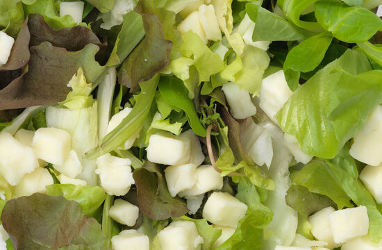Close up of mixed salad and diced cheese
