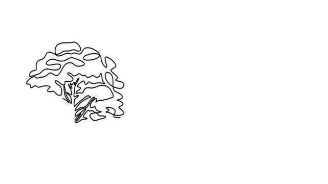 Animated self drawing of continuous line draw of  Line art trees set on white, minimalist nature illustration. Full length one line animation. 4K
