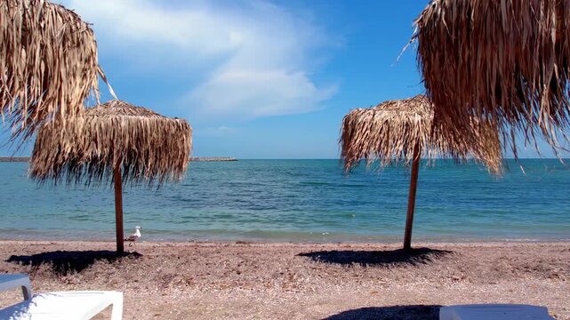 Thatched straw beach umbrellas framing a beautiful view of the calm blue sea on a sunny summer day. Slow motion video of beach umbrellas framing the calm turquoise ocean on a sunny summer day.