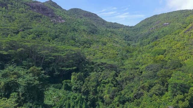 Drone footage flying deep into the lush, dense tropical rainforest and granite mountains of Morne Seychellois National Park on Mahe Island, Seychelles.