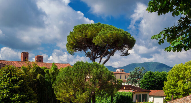 Lucca charming historical center with medieval bell towers and Mount Pisano from city walls park
