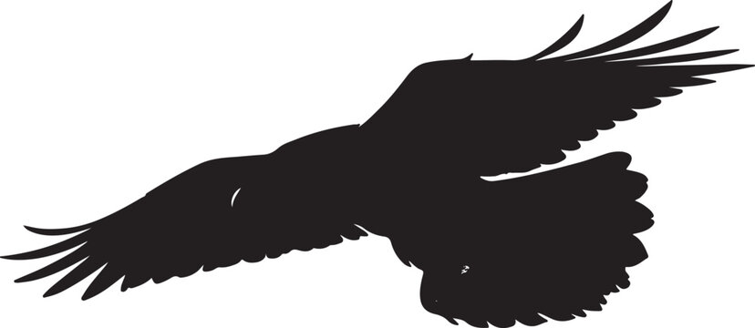 Common Raven silhouette collection vector bird wildlife design.