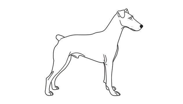 Line drawing of Airedale Terrier dog standing in minimalist black and white sketch style