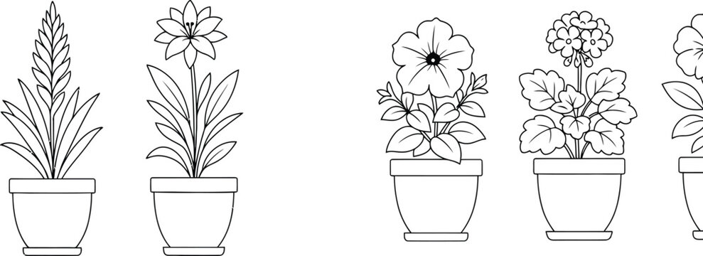 Minimalist line art collection of potted indoor house plants for botanical design projects