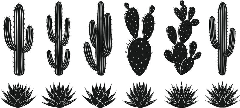 Set of cactus and succulent silhouettes with varied shapes for botanical, decorative, and design projects