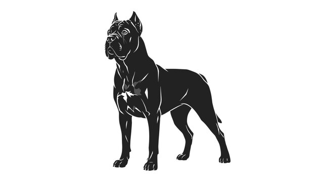 Powerful black mastiff dog standing proud on a clean white background, showing strength and protection.