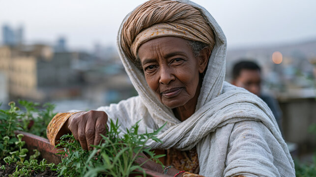 Ethiopian grandmother tends rooftop garden in Addis Ababa in September dusk, unaware that grandson is behind her on laptop participating in citizen science exoplanet transit