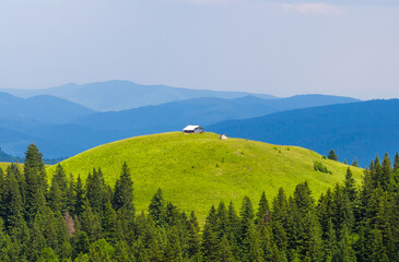 Obraz premium Breathtaking scene captures a tranquil wooden cabin nestled atop a vibrant green hill in the Carpathian Mountains. Landscape with a cabin on top of a mountain hill