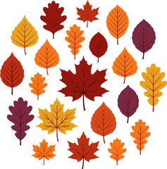 Autumn Fall Leaf Icon Collection with Red Maple Oak Birch and Beech Leaves arranged in Circular Design for Thanksgiving Greetings Vector Graphic Layouts © MstBobita