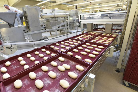 industrial production of bakery products on an assembly line - technology and machinery in the food factory