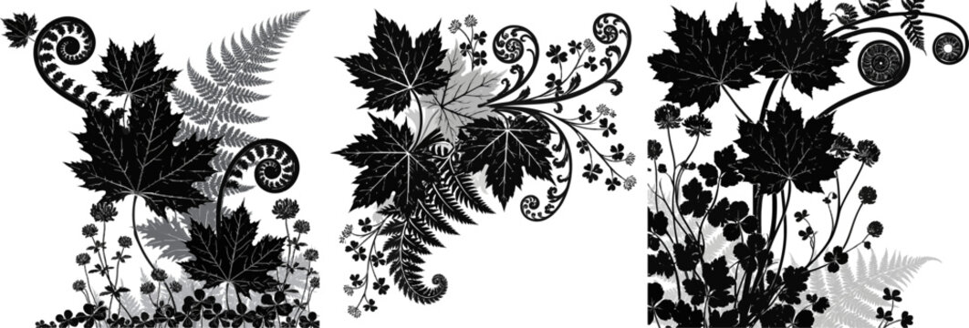 A striking black-and-white illustration of layered forest floor corner ornament featuring overlapping silhouettes of maple leaves, fern fiddleheads, and wild clover stems against a pure solid white