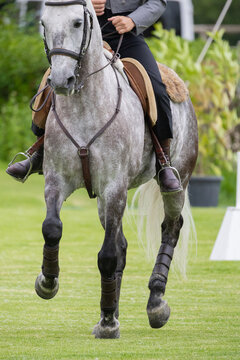 Horse and rider participate in equestrian event at a green field during bright daylight
