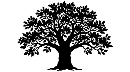 Fototapeta premium Silhouette of a large oak tree with lush foliage on a white background