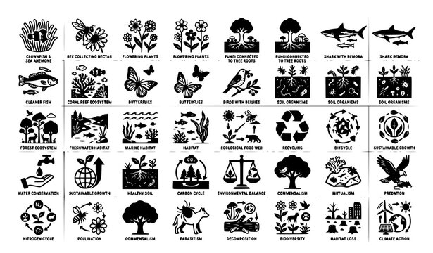 Ecology and Mutualism Icon Collection with Bee Pollination Clownfish Mycorrhiza and Marine Wildlife