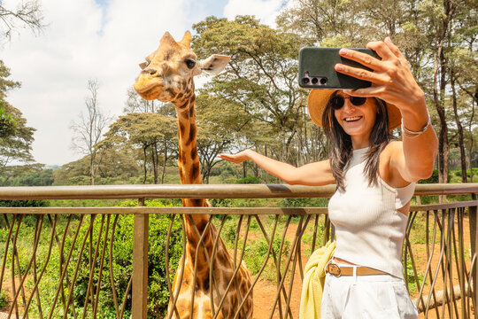Close up Cheerful female tourist blogger take selfie feeds tall Rothschild giraffe from elevated observation platform, Giraffe Centre Langata Nairobi Kenya eco travel wildlife conservation lifestyle
