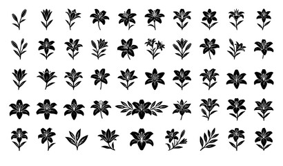 Fototapeta premium Modern Lily Flower Silhouette Collection with Botanical Leaves and Floral Vector Icons
