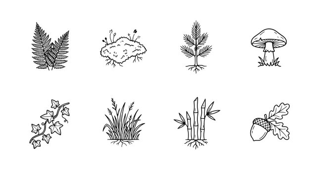 Detailed collection of hand drawn forest plant icons featuring ferns moss pine trees mushrooms ivy grass bamboo stalks and oak acorns rendered as a clean black line vector graphic on transparent backg