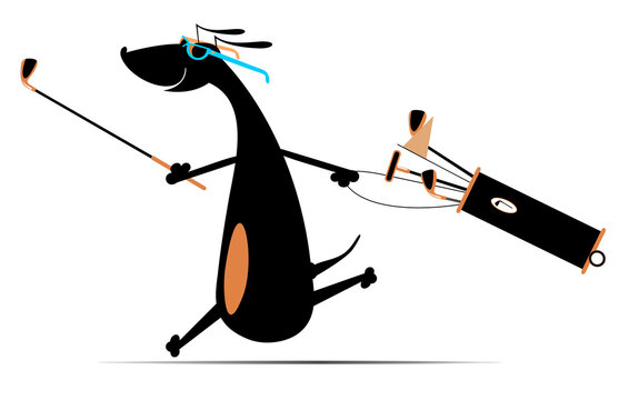 Active dog. Smiling dog in sunglasses with golf club in the hand and golf bag running to the golf course