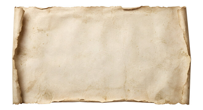 Unrolled old blank parchment paper sheet