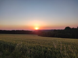Fototapeta premium Sonnenuntergang über Feldern im Sommer