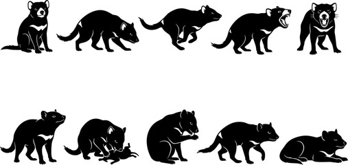 Obraz premium vector can editable Aggressive and social postures of the tasmanian devil rendered in bold wildlife silhouettes