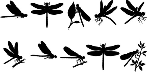 vector can editable Elegant silhouette collection of dragonflies and damselflies resting on reeds and in flight © Nabil