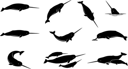 vector can editable Ethereal narwhal silhouettes showcasing the iconic tusk and arctic marine grace © Nabil