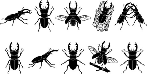 Fototapeta premium vector can editable Intricate stag beetle silhouettes highlighting formidable mandibles and combat stances