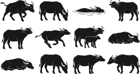 Obraz premium vector can editable Robust water buffalo silhouettes depicting herd dynamics and semi-aquatic lifestyles