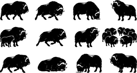 vector can editable Stoic muskox silhouettes representing arctic resilience and defensive herd formations © Nabil