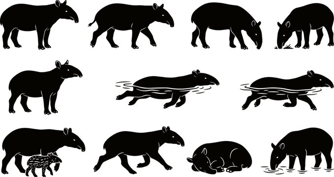 vector can editable Unique tapir silhouettes illustrating the distinctive proboscis and forest dwelling habits