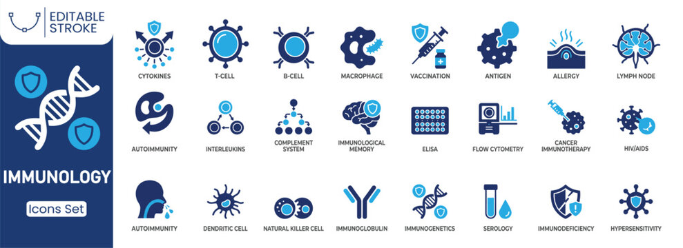 Immunology icon set. Containing T cell, B cell, vaccination, macrophage, immunoglobulin, cytokines, antigen, lymph node and more. Solid vector icons collection