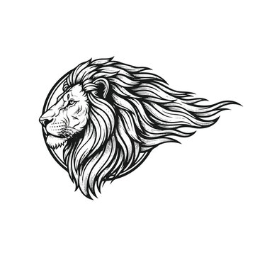 Detailed drawing of a lion head.
