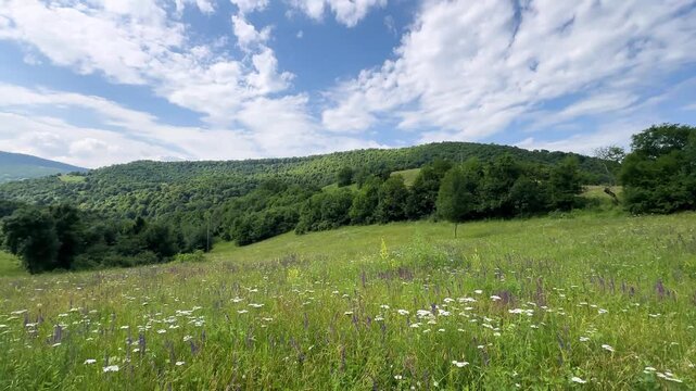Panoramic landscape of mountain meadow in pastoral scenic nature of organic flower field in Georgia Caucasus sunshine breeze cloud sky in Jermuk Armenia hiking trekking travel summer peaceful highland