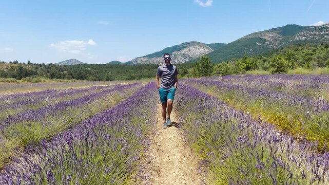 Homme qui se balade dans un champ de lavande en fleurs sous un soleil radieux