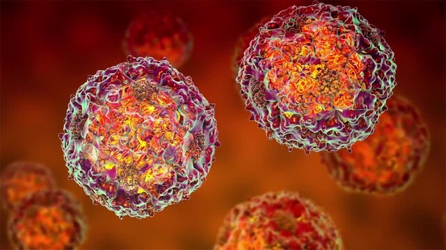 Parvoviruses, 3D animation showing small non-enveloped icosahedral DNA viruses, including pathogens such as parvovirus B19 and canine parvovirus.
