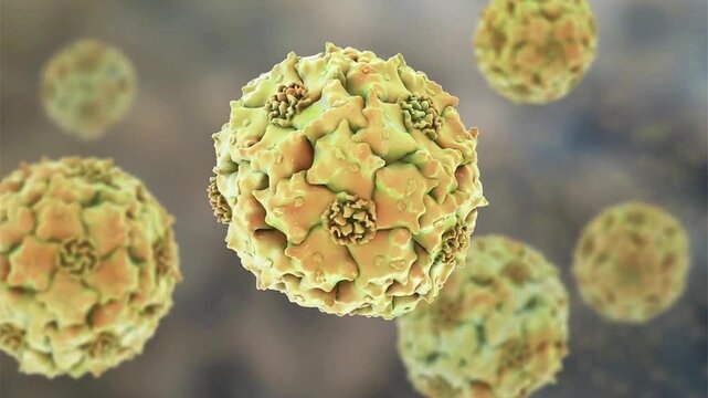 Parvoviruses, 3D animation showing small non-enveloped icosahedral DNA viruses, including pathogens such as parvovirus B19 and canine parvovirus.