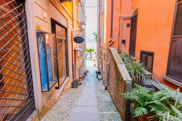 Fototapeta premium Narrow cobblestone alleyway in Bellagio, Italy, lined with colorful buildings and potted plants leading to a scenic view