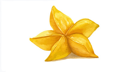 Fototapeta premium golden star fruit decoration