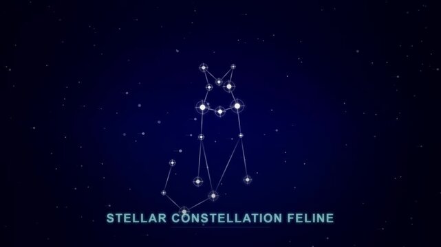 Cat stargazing at night sky with stars and constellations
