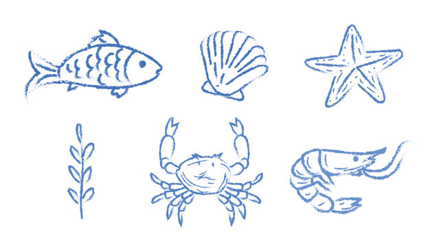 hand drawn sea creatures illustration