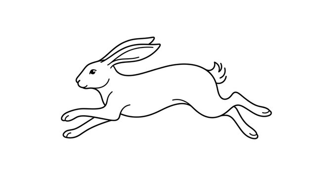 Minimalist line art illustration of a leaping wild hare jumping across a white background