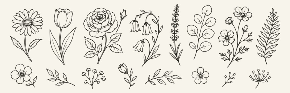 Botanical floral line art set, hand drawn wedding blossom collection.