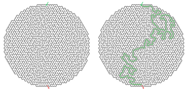 Vector maze in the shape of a circle with the solution on a transparent background  
