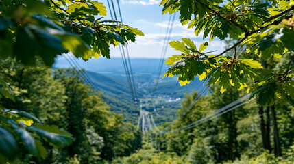 Fototapeta premium Power lines cutting through a thick green forest clearing toward a bright distant valley and sky lush sunlit leaves framing the scene nature and infrastructure electricity