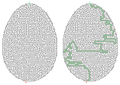 Vector maze in the shape of an egg with the solution on a transparent background  