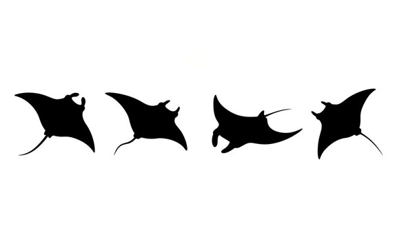 Manta Ray Silhouettes Set Isolated on White